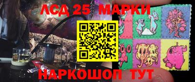 гидропоника Пугачёв