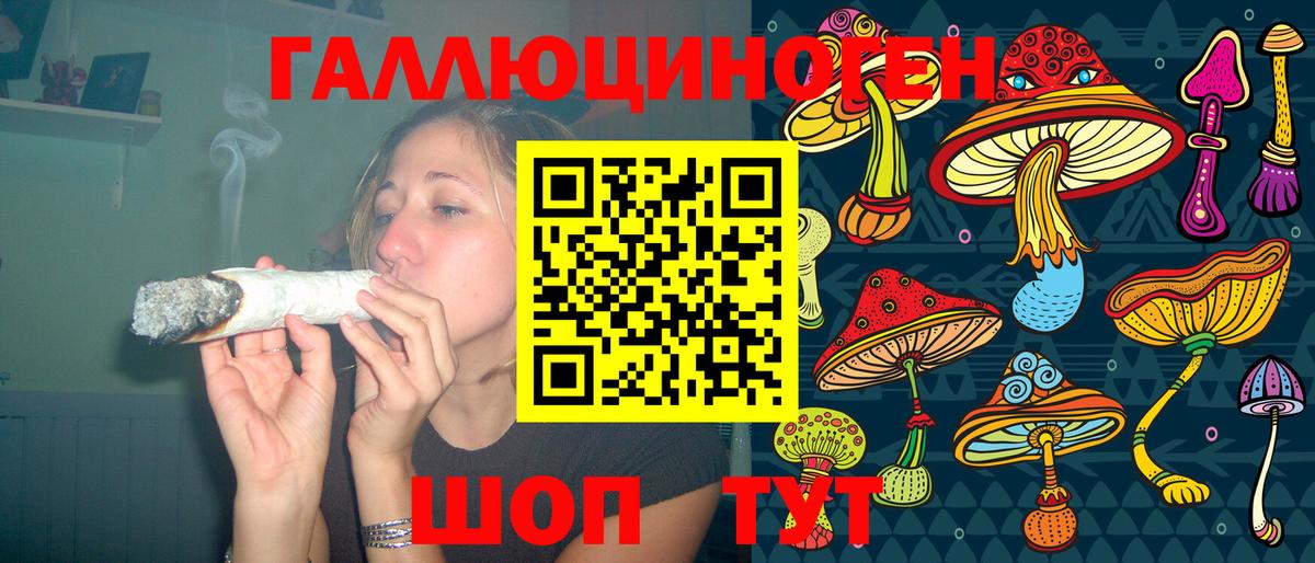 Сибай  Псилоцибиновые грибы Psilocybine cubensis  Вход с VPN 